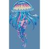 Rainbow Jellyfish